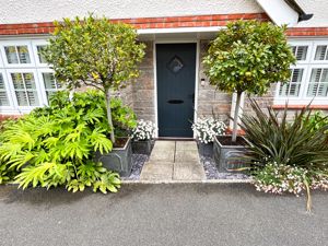 Photo 15- click for photo gallery